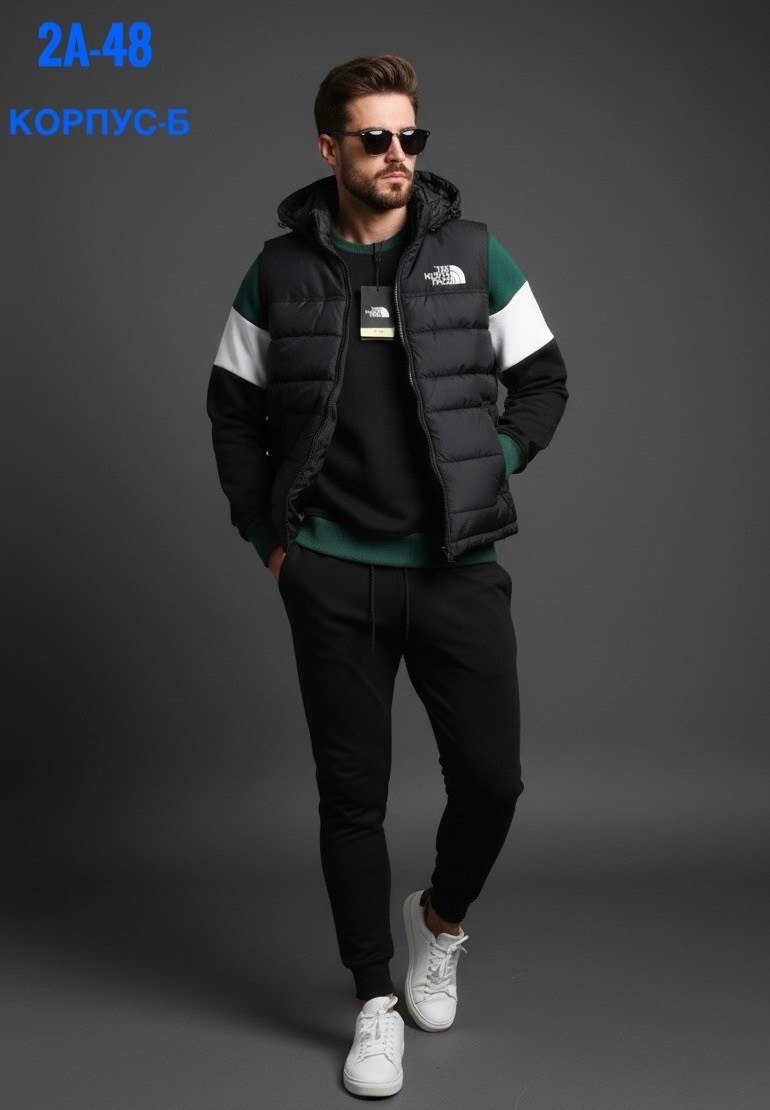 утепленный жилет the north face,мужской жилет the north face,мужская куртка зимняя,пуховики мужские,жилетка the north face 700