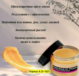 Одежда