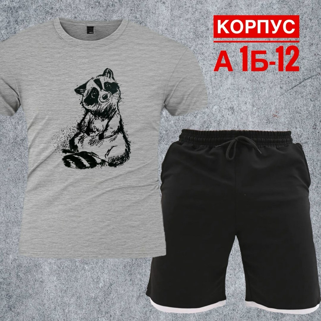 костюм с шортами и футболкой спортивный летний мужской,костюм для мужчин,костюм спортивный мужской,костюм мужской