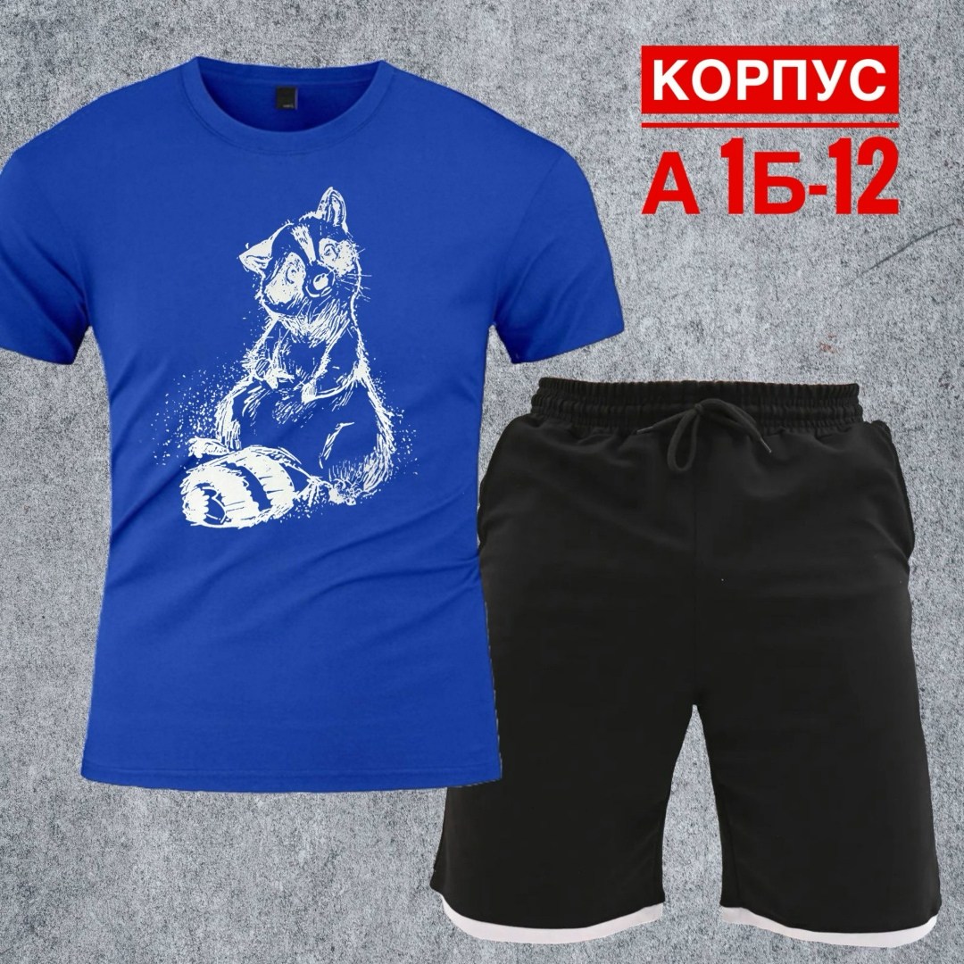 костюм с шортами и футболкой спортивный летний мужской,костюм для мужчин,костюм спортивный мужской,костюм мужской