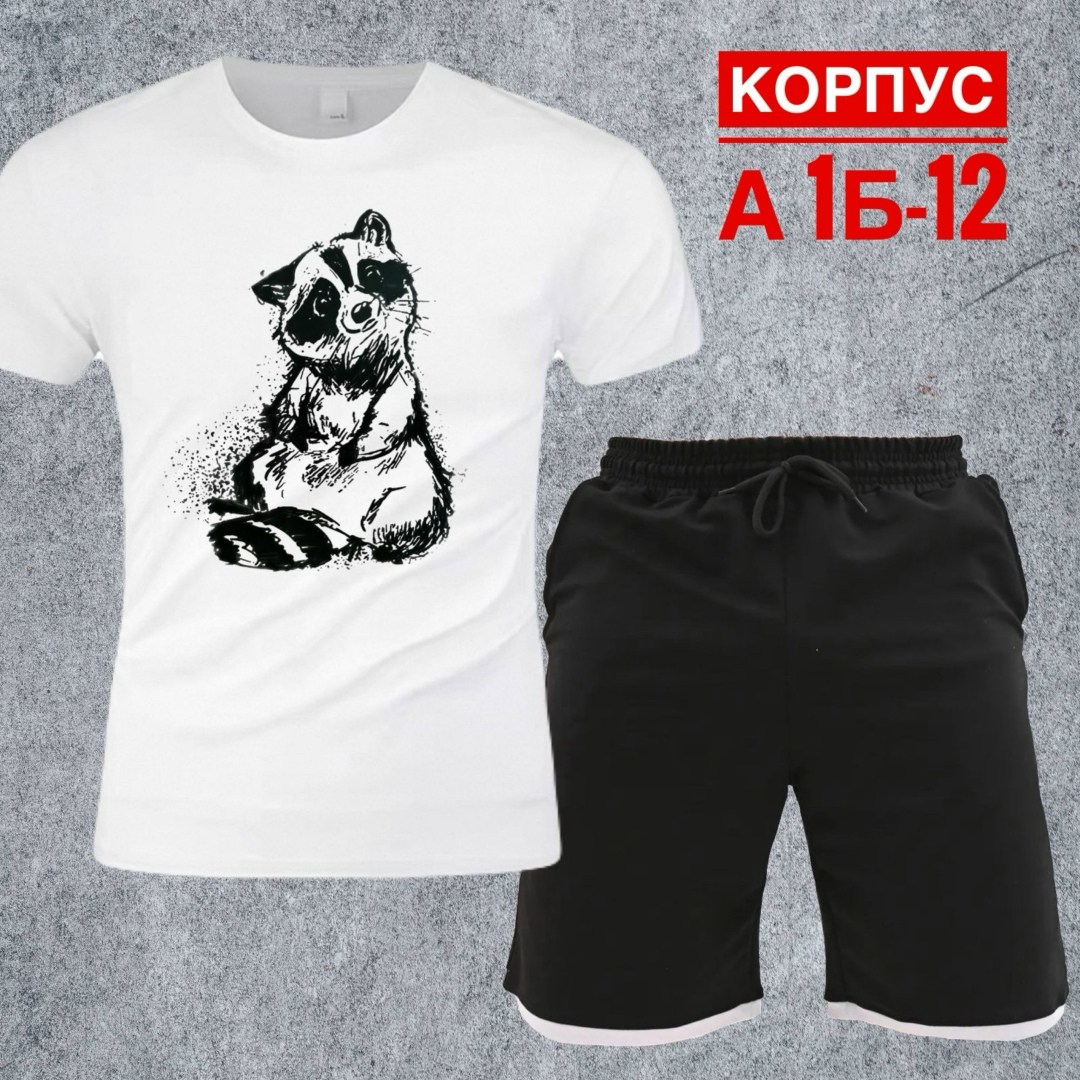 костюм с шортами и футболкой спортивный летний мужской,костюм для мужчин,костюм спортивный мужской,костюм мужской