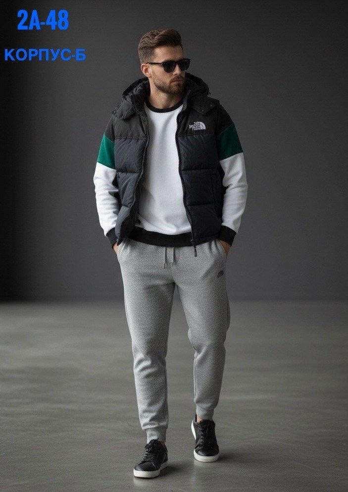 утепленный жилет the north face,мужской жилет the north face,мужская куртка зимняя,пуховики мужские,жилетка the north face 700