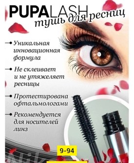 Одежда