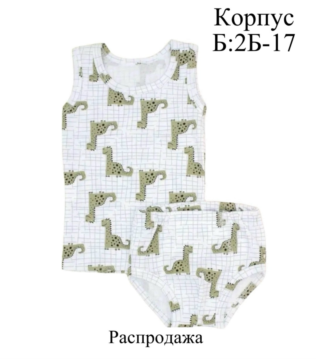 комплект майка трусы для мальчика,комплект нижнего белья для мальчика,комплект трусов для мальчиков,комплект детского белья,майка трусы комплект