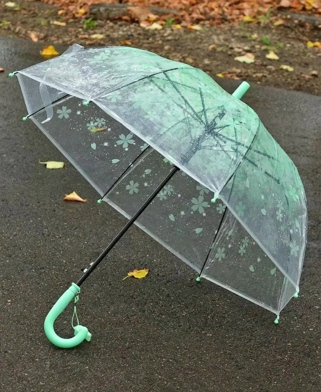 зонт прозрачный,прозрачный зонтик,зонт красный,зонт,зонт от дождя