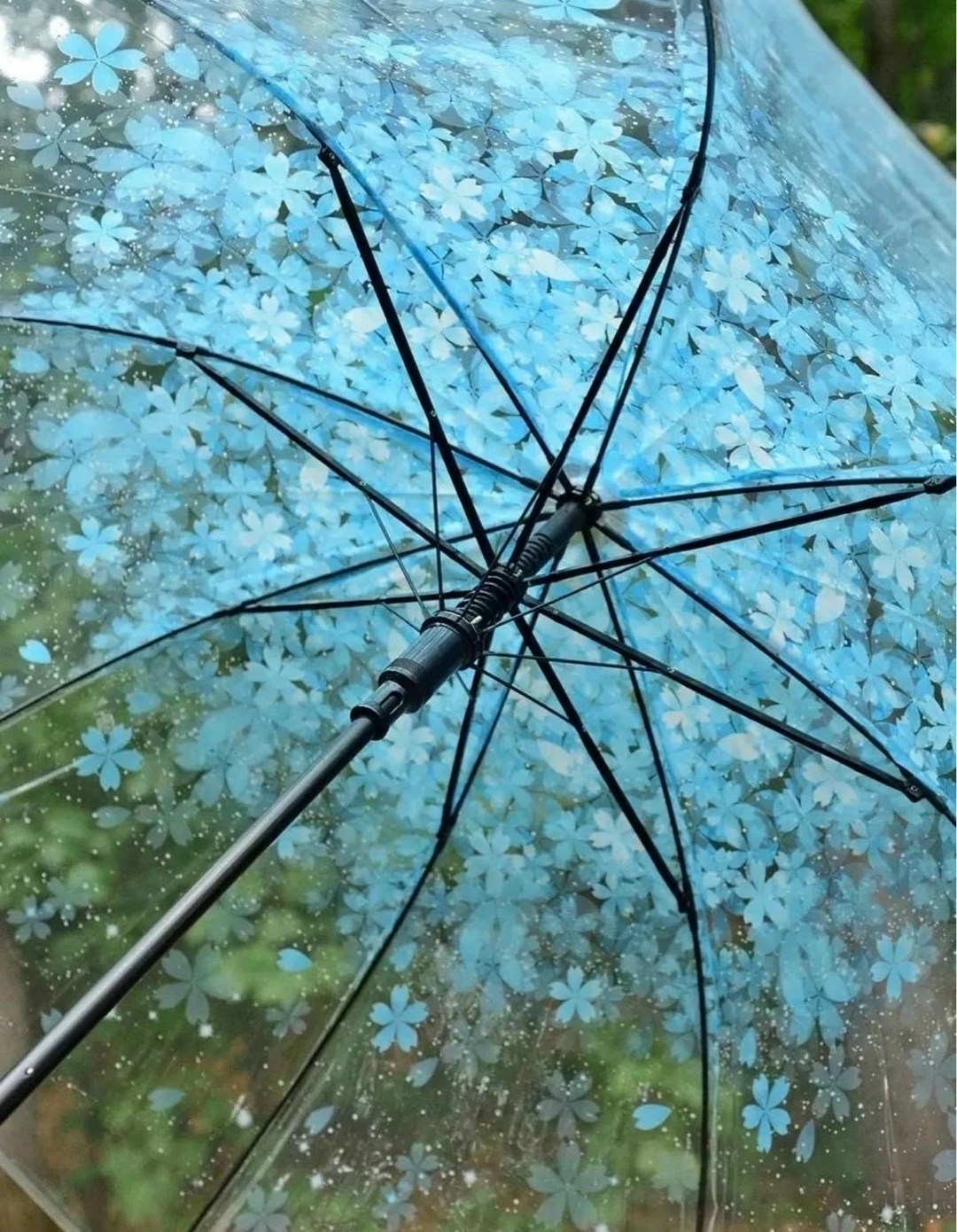 зонт прозрачный,прозрачный зонтик,зонт красный,зонт,зонт от дождя