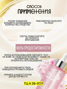 Одежда