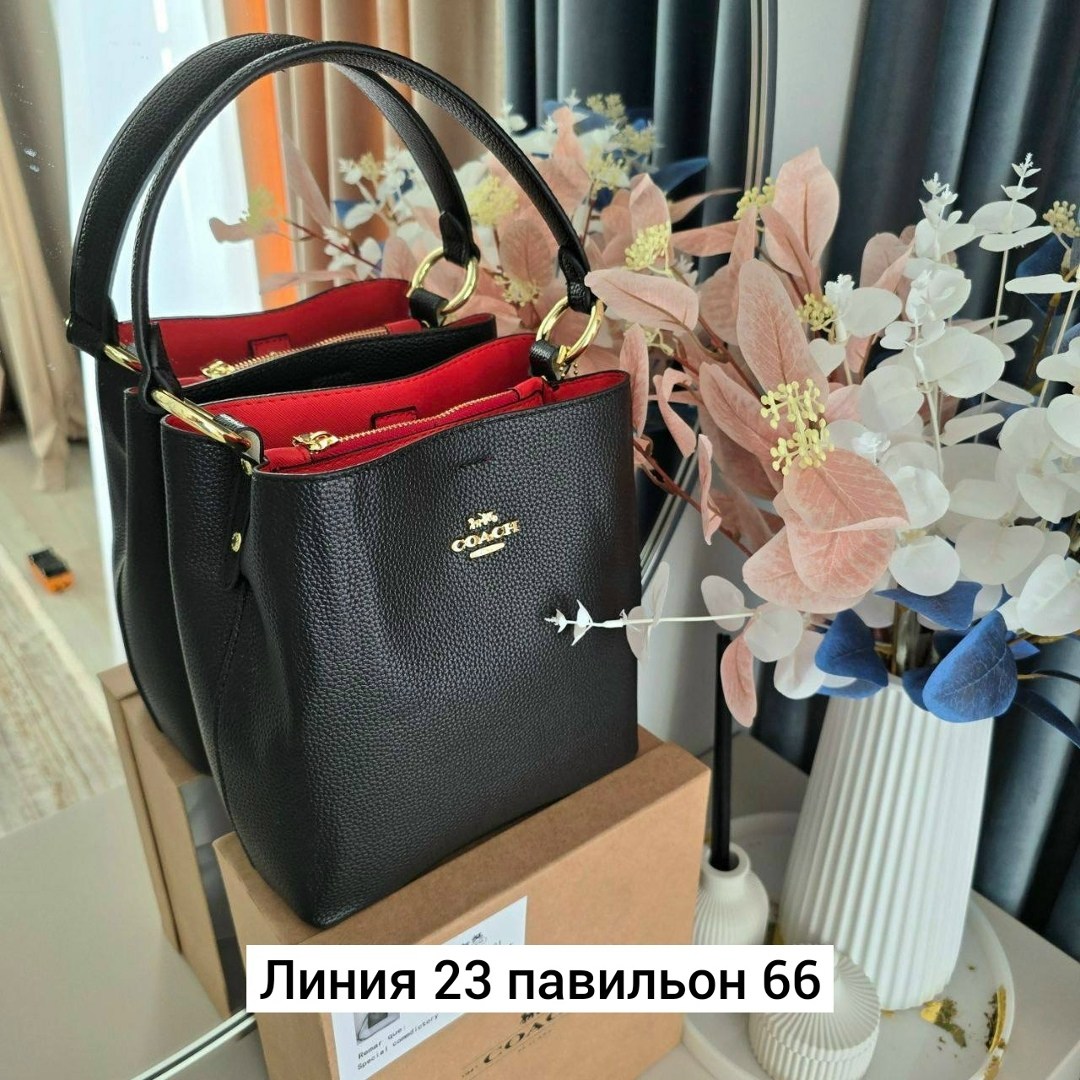 женская сумка coach,сумка,женская сумка,модная сумка,сумка coach