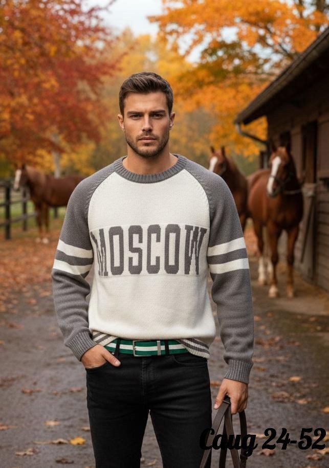 мужской свитер,свитер джемпер мужской,свитер джемпер,кофта стиль,мужская кофта