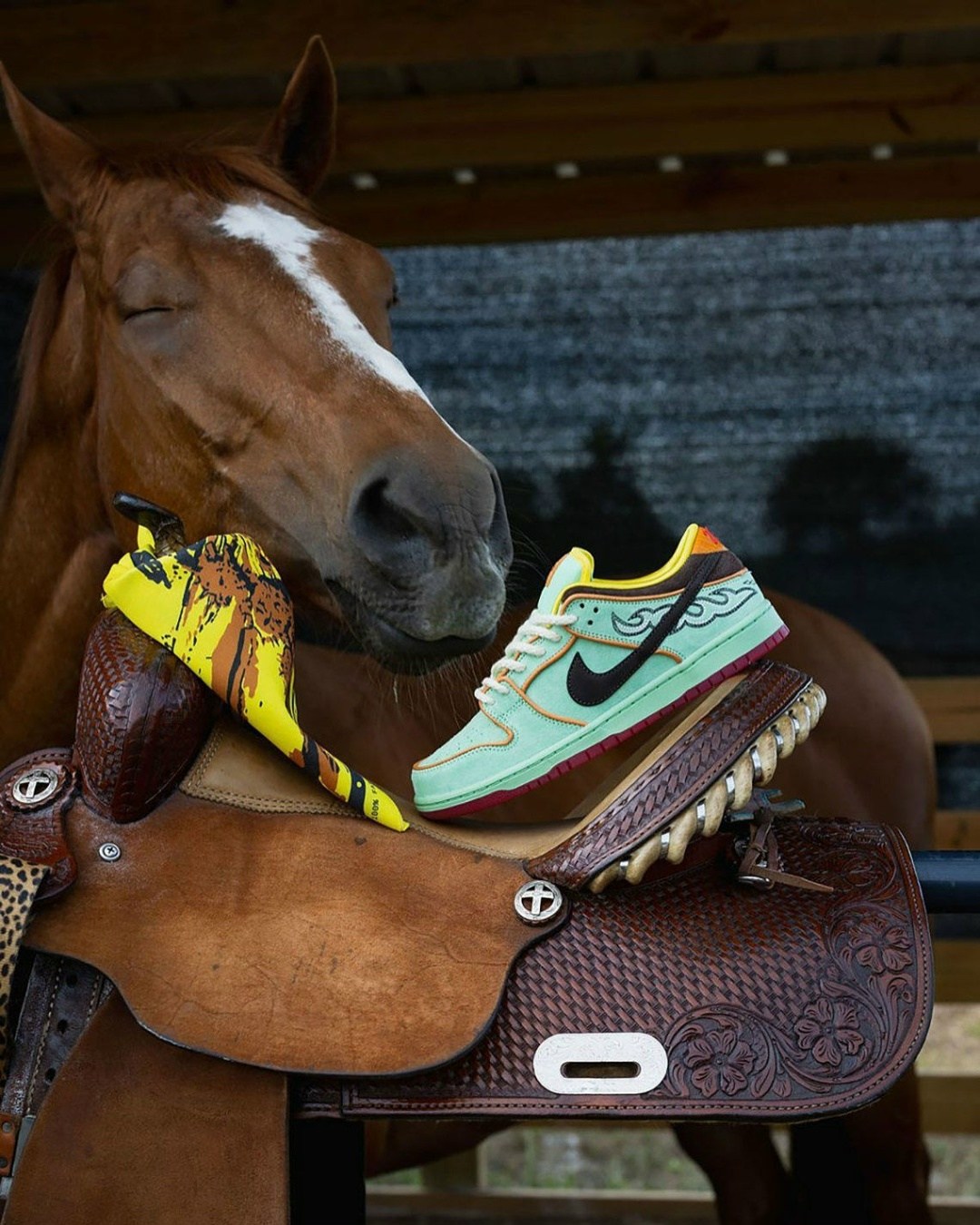 лошади скачки,кроссовки,dunk low nike,скаковая лошадь,thoroughbred horse racing