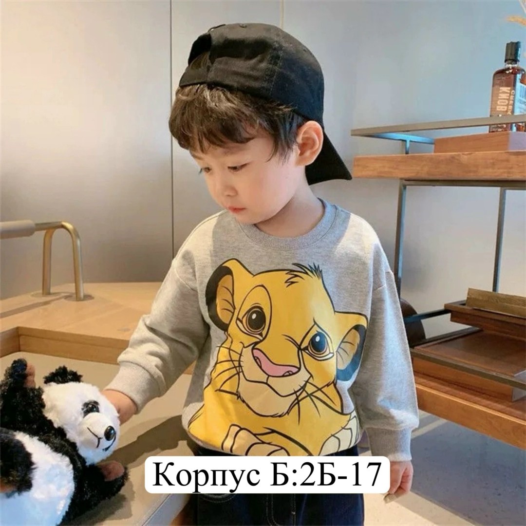 кофта для мальчика,мальчик,cвитшот для мальчика,детская кофта,одежда для детей