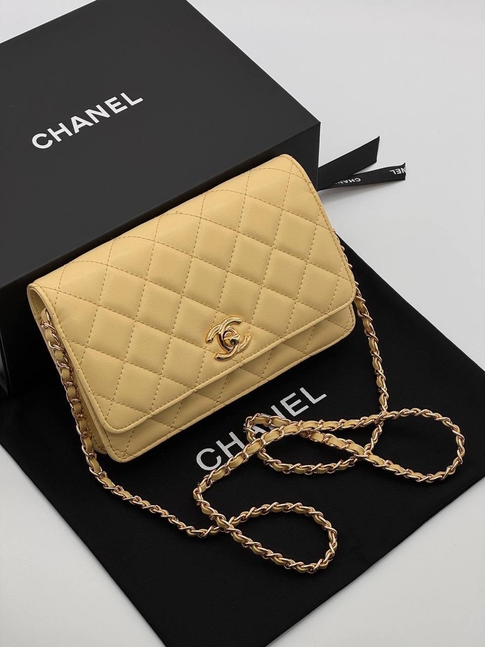 сумка chanel,сумка женская chanel,сумка шанель,сумочка chanel,модная сумочка