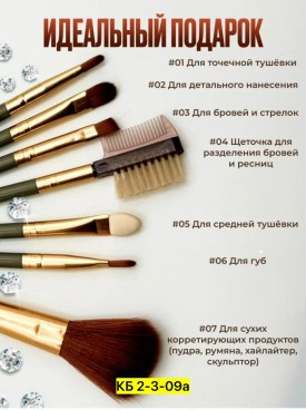 Одежда
