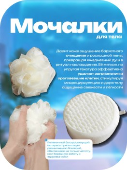 Одежда