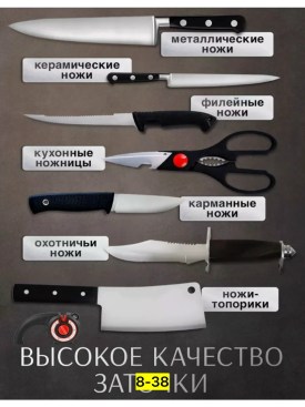 Одежда