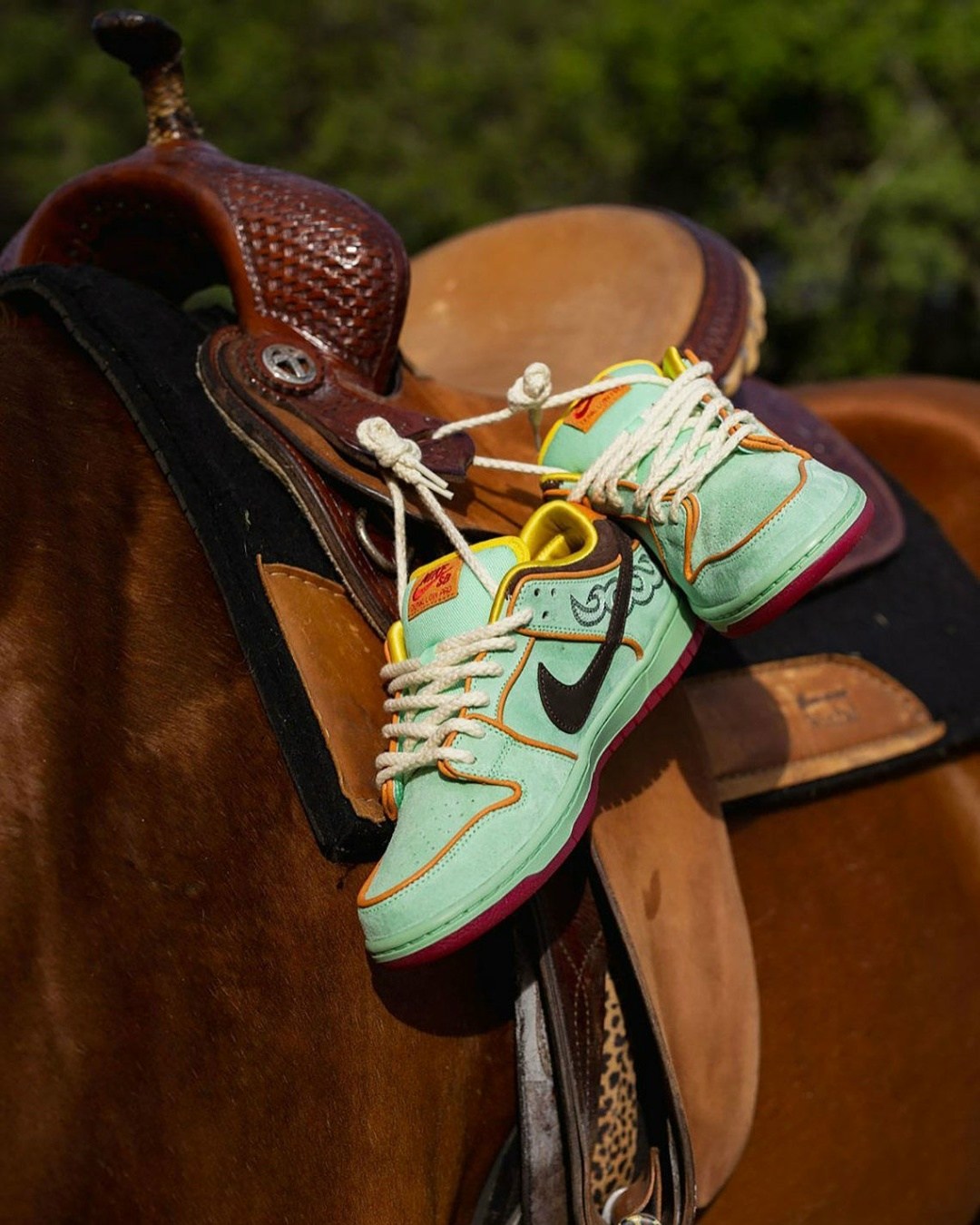 лошади скачки,кроссовки,dunk low nike,скаковая лошадь,thoroughbred horse racing
