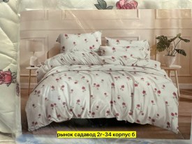Одежда