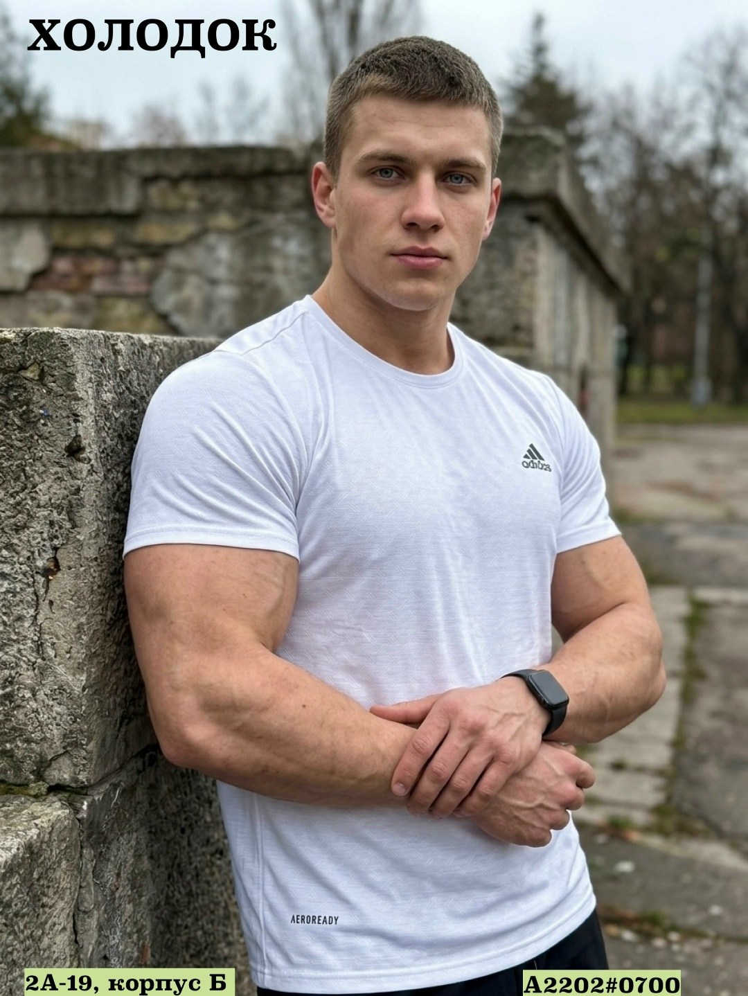 футболка мужская adidas,мужской футболка адидас футбольный,майка адидас climacool,комплект футболки