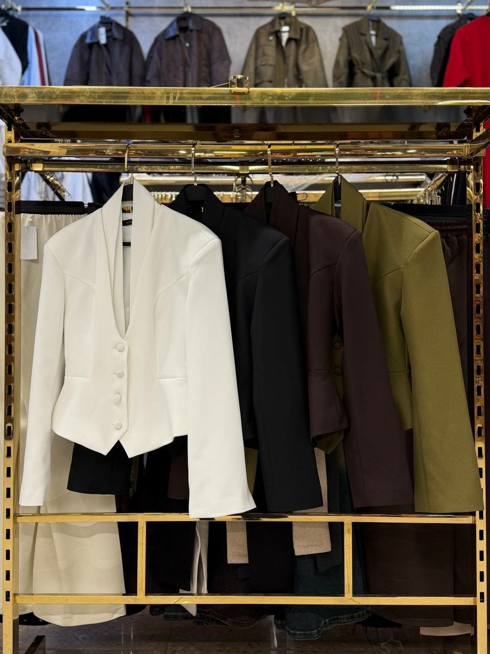 женский пиджак,брючный костюм,костюм женский,пиджак