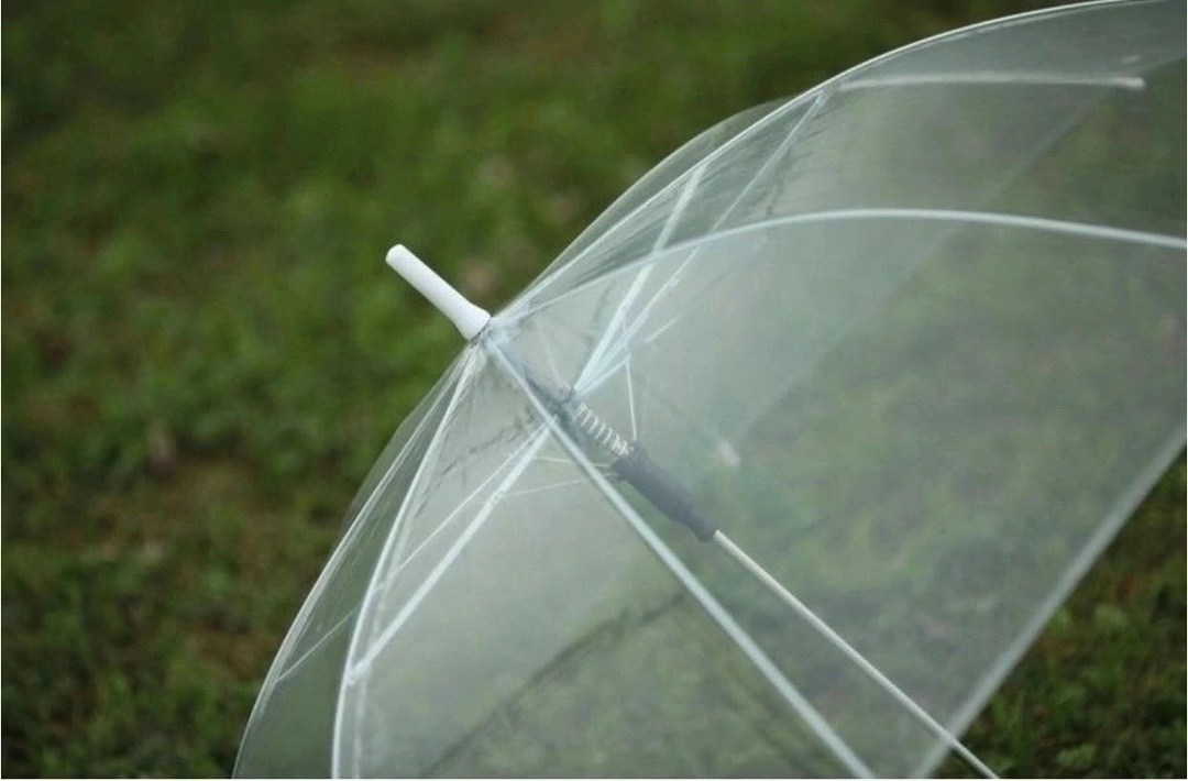 прозрачный зонт трость,прозрачный зонт,фотосессия с прозрачным зонтом,фотосессия с зонтом,женский зонт