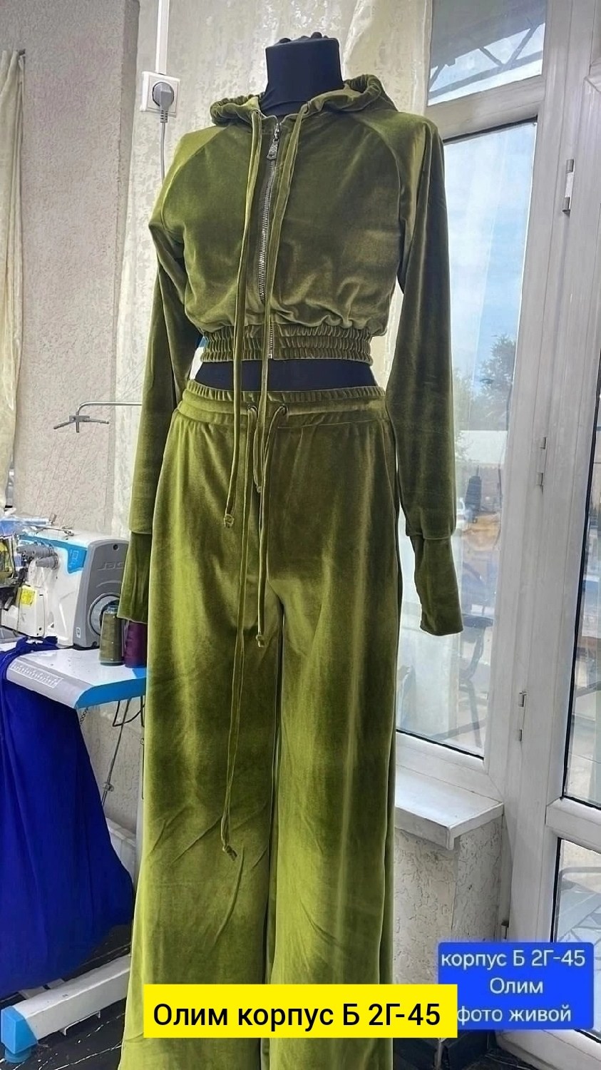 костюм велюровый женский,костюм велюровый двойка,костюм велюровый,велюровый спортивный костюм,велюровый брючный костюм