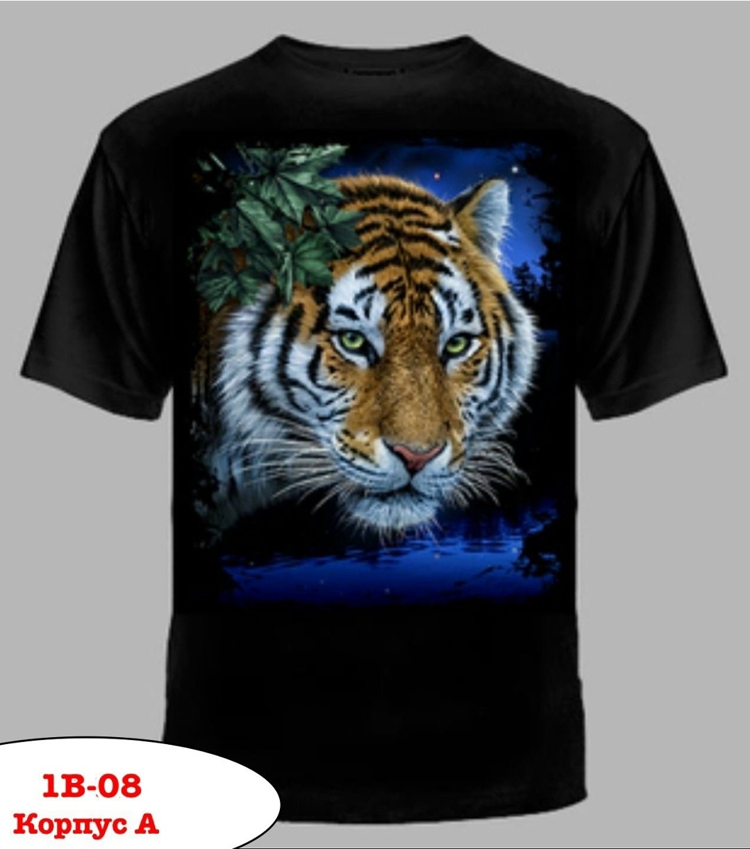 футболка с медведем,футболка с оскалом медведя,футболки с изображением медведя,футболка русский медведь,оскал медведя на майке