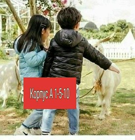 Верхняя одежда