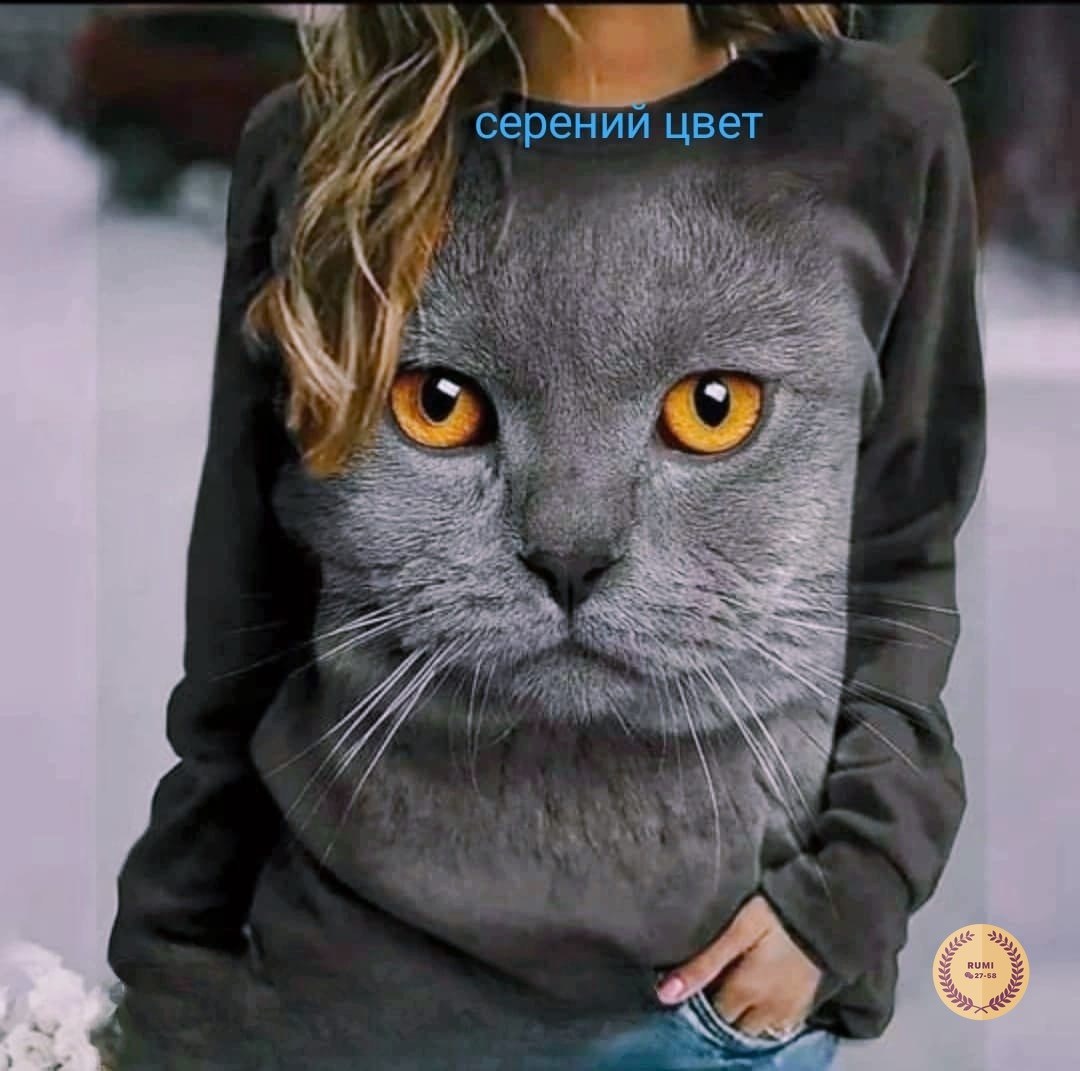 женская кофта,женская толстовка,hoodies sweatshirts,свитшот с принтом,свитшот с принтом кот