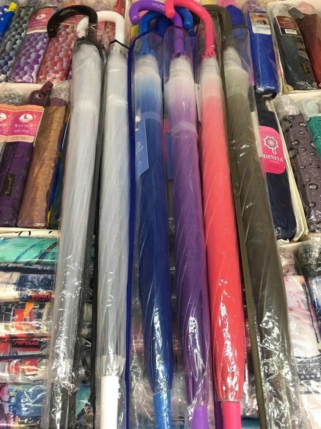 прозрачный зонт трость,прозрачный зонт,фотосессия с прозрачным зонтом,фотосессия с зонтом,женский зонт