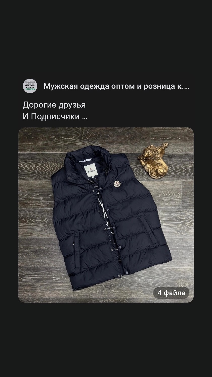 жилетка moncler,жилет монклер мужской,жилетка пуховая,жилетка монклер мужская синяя,жилет moncler