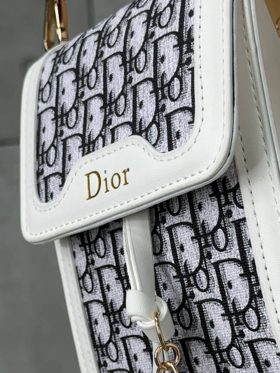 сумка диор белая,модные новинки,сумка dior,сумки модные,сумка модная женская