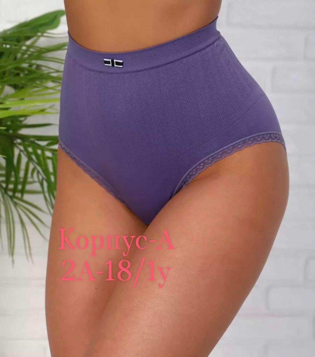 женская трусы,трусы женские алиэкспресс,трусы женские 5 шт,трусы для женщин,трусы женски