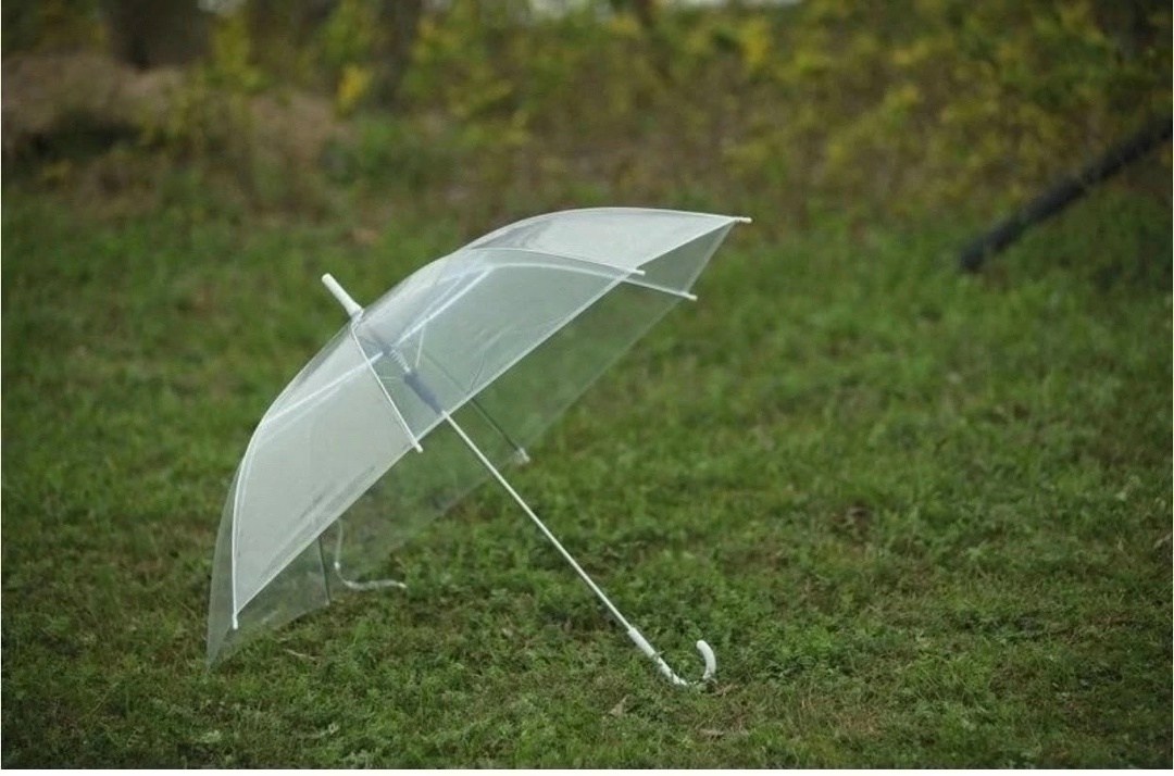 прозрачный зонт трость,прозрачный зонт,фотосессия с прозрачным зонтом,фотосессия с зонтом,женский зонт
