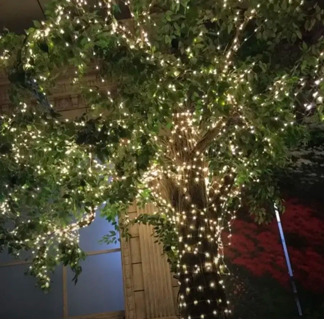 уличная гирлянда на солнечной батарее,светодиодная гирлянда на солнечной батарее,светодиодная уличная гирлянда на солнечной батарее,гирлянда на солнечной батарее,светильник на солнечной батарее светод