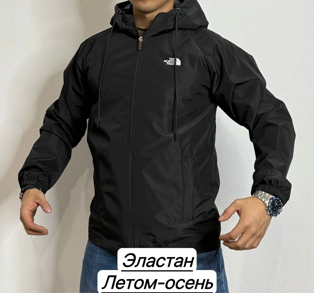 ветровка the north face мужская,the north face ветровка,куртка the north face,куртка модная,куртка ветровка мужская демисезонная