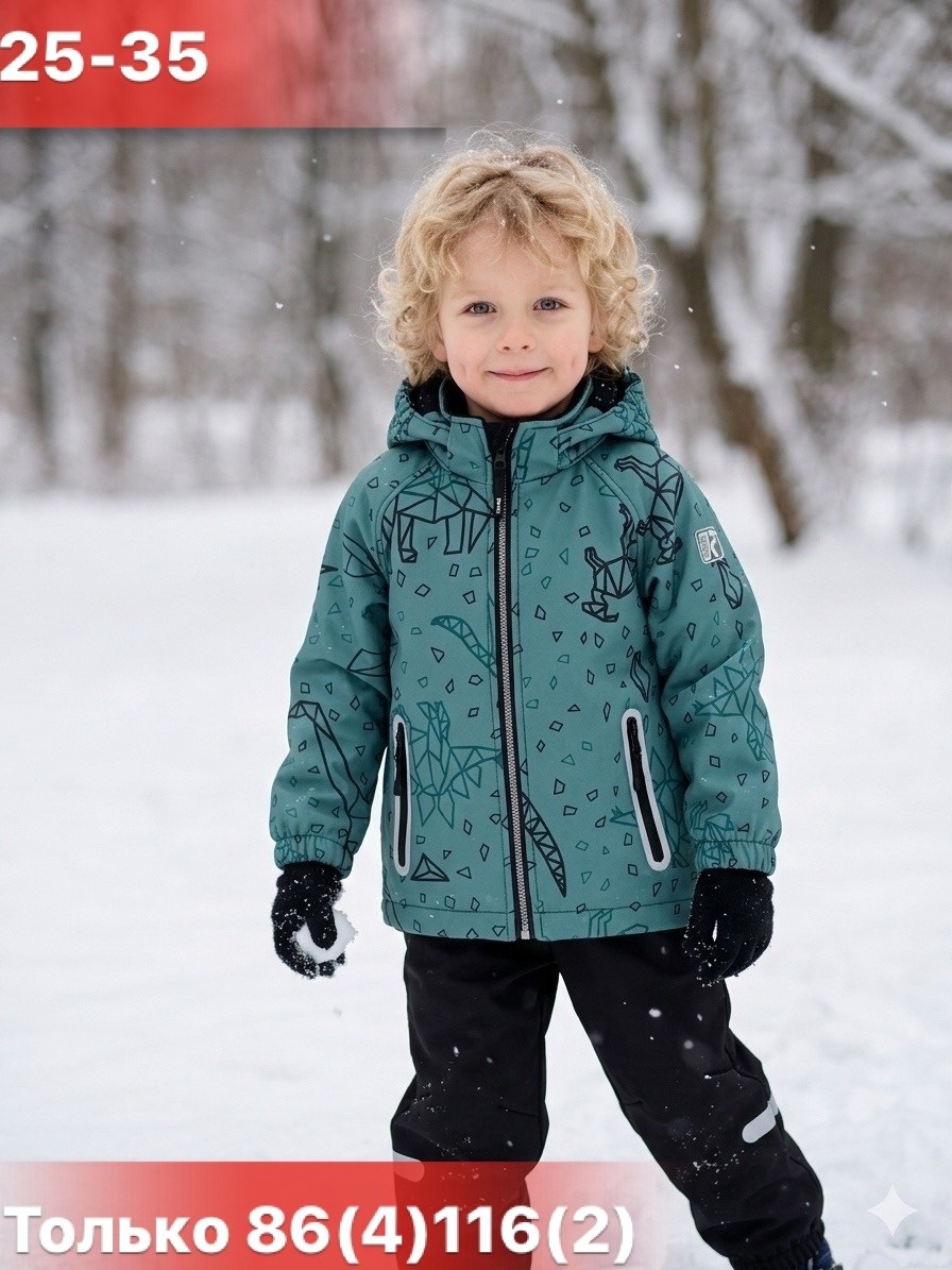 куртка демисезонная для мальчик,куртка для мальчика,детская демисезонная куртка,костюм демисезонный,демисезонный костюм для мальчика