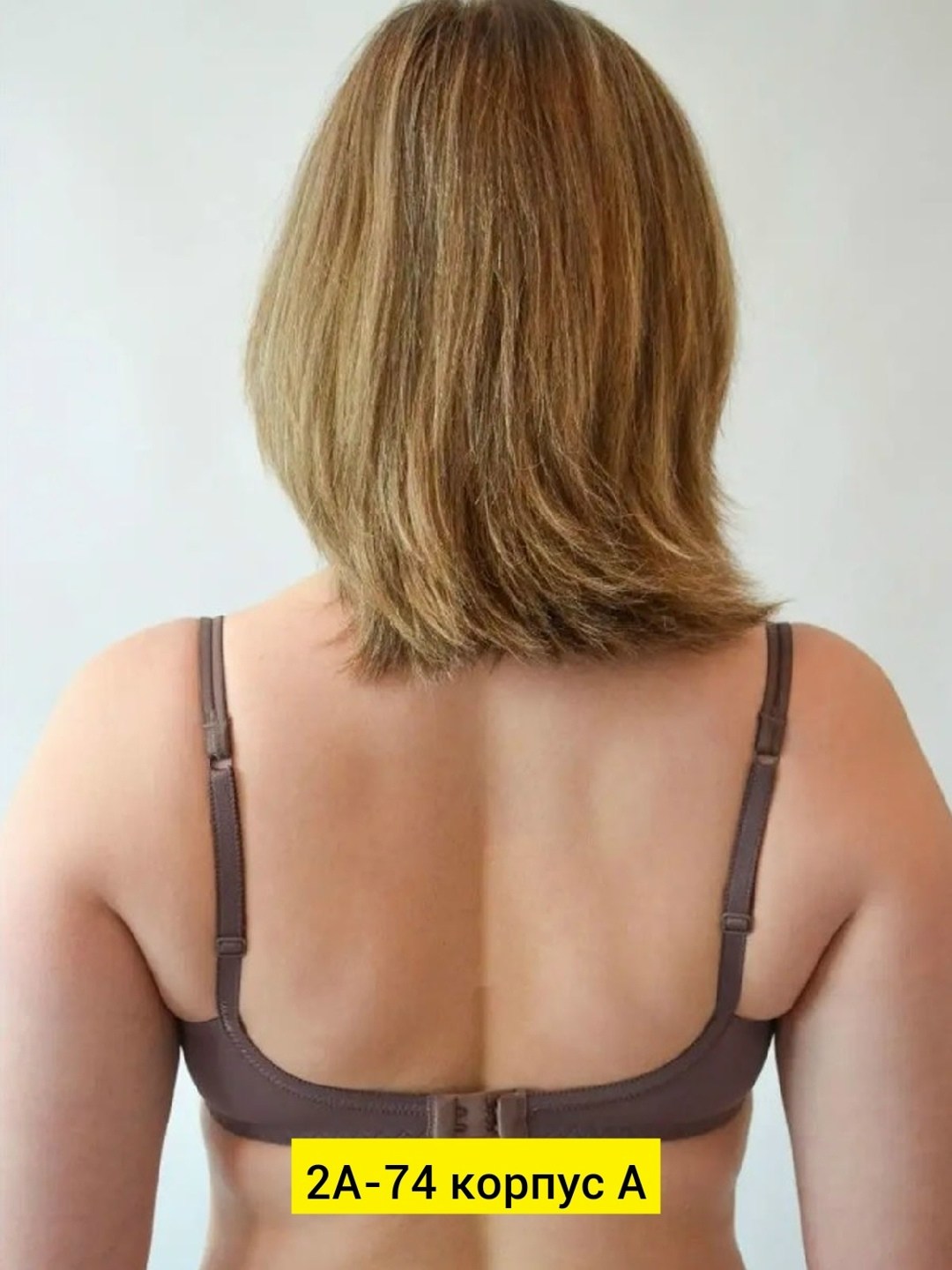 бюстгальтер женские,классический бюстгальтер,бюстгальтер misstyle 4115,бюстгальтер,бюстгальтер классика