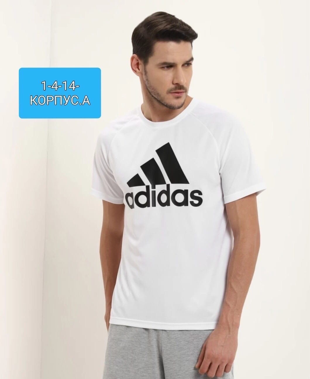 мужские футболки lacoste,футболка lacoste,lacoste мужские,футболки мужские,lacoste логотип