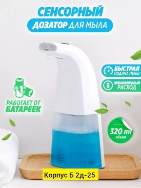 Одежда
