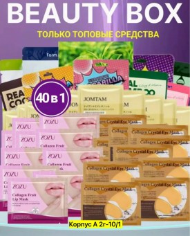 Одежда