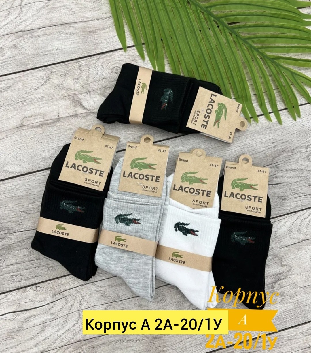 носки мужские,носки мужские 10 пар,комплект носки мужские,носки мужские короткие лакоста,комплект носков lacoste