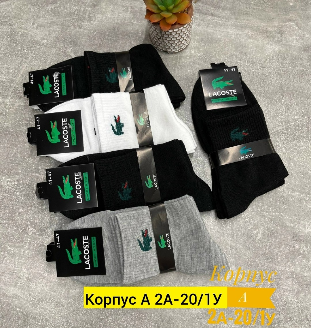 носки мужские,носки мужские 10 пар,комплект носки мужские,носки мужские короткие лакоста,комплект носков lacoste