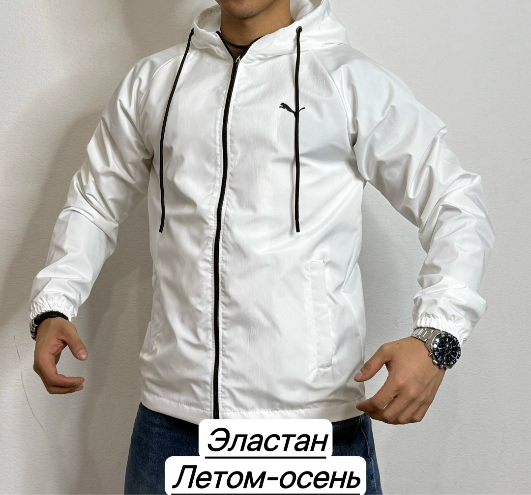 мужская куртка демисезонная,куртка ветровка мужская,мужские куртки ,демисезонная куртка,ветровка мужская puma