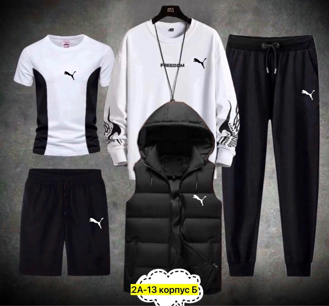 костюм спортивный adidas,спортивные мужские костюмы,спортивный костюм 5 в 1,адидас спортивный костюм,спортивные костюм