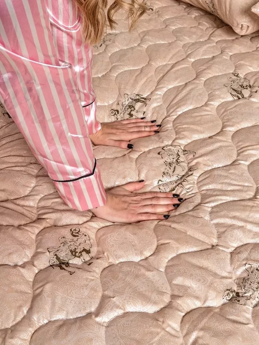 одеяло gracefulhome подушка "верблюжья шерсть" 150x210 всесезонное с наполнителем верблюжья шерсть,одеяло мостекс верблюжья шерсть,одеяло 150*210 верблюжья шерсть мостекс,подушка мостекс верблюжья шер