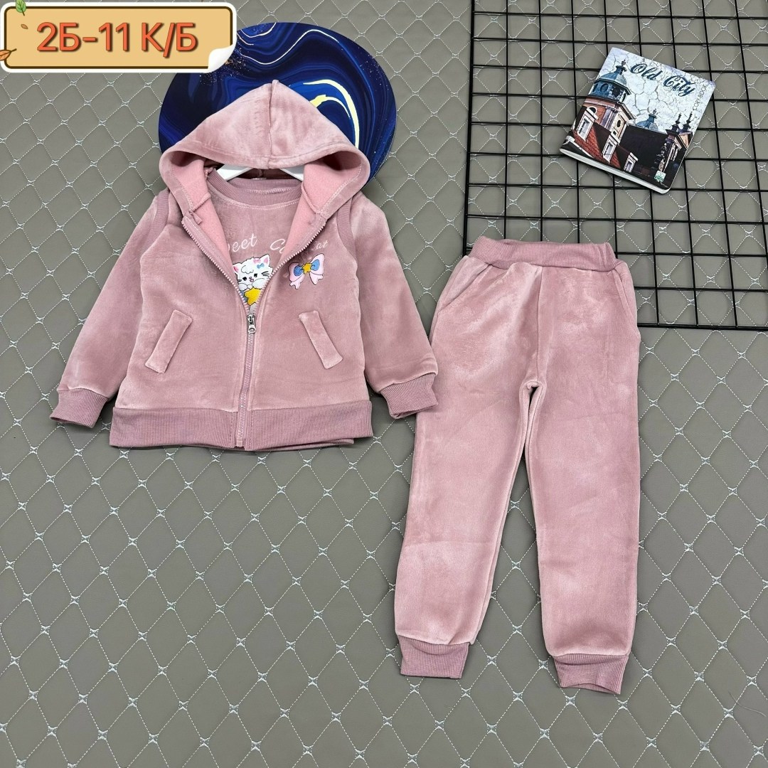 костюм тройка детский,костюм на флисе,детские костюмы,костюм для девочек,костюм тройка с начесом