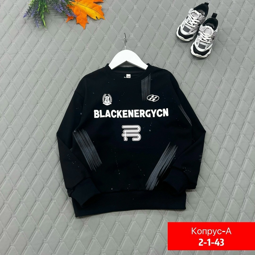 cвитшот для мальчика,свитшот подростковый,cвитшот детский,свитшот,кофта для мальчиков