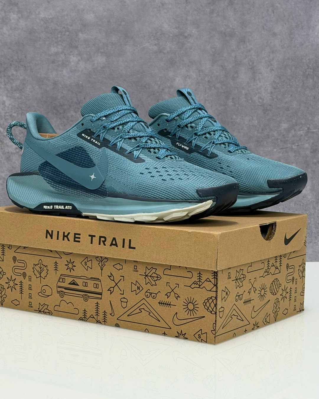 кроссовки nike pegasus trail,nike pegasus trail 5,nike pegasus trail 5 gore tex,nike pegasus trail 3,nike pegasus trail