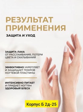 Одежда