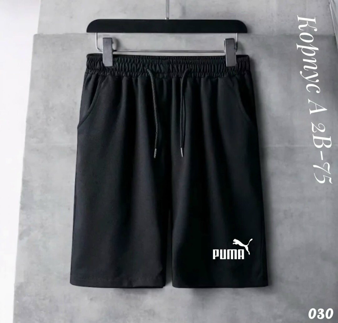 шорты the north face,мужские шорты the north face,мужские шорты the north face standart short light,мужские шорты,шорты спортивные мужские